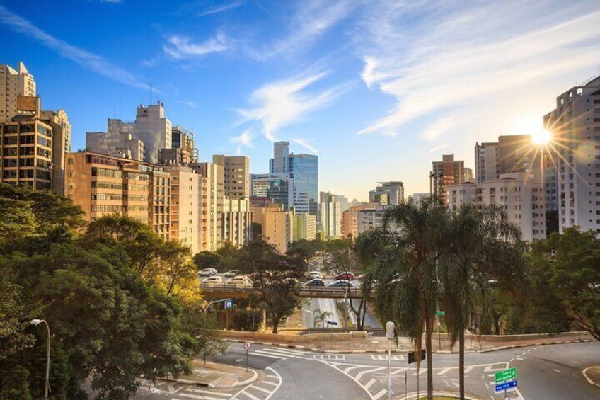 Jewish History São Paulo Downtown Private Walking Tour 