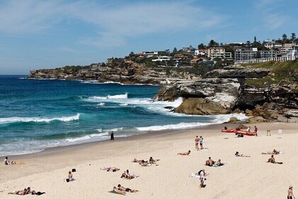 From Sydney: Full Day Tour of Golden Beaches and Ocean Vistas