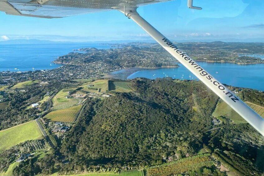 Auckland Region | Multi Island Hopper Package Tour