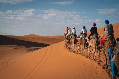 Zagora 2 Day Desert Safari and Luxury Camp From Marrakech