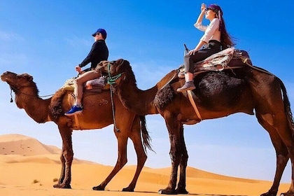 Zagora 2 Day Desert Safari and Luxury Camp From Marrakech