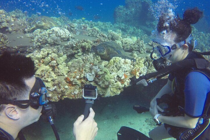 Introductory Scuba OR Refresher Class AND Dive!!! No Experience Needed (Lahaina)