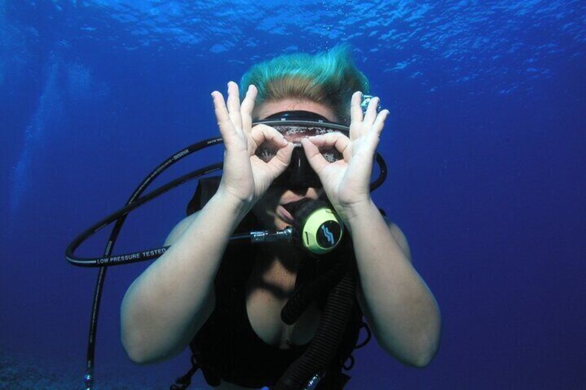 Another first time diver