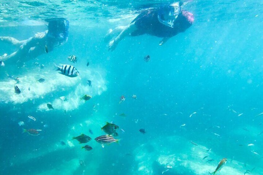 Two children snorkelling