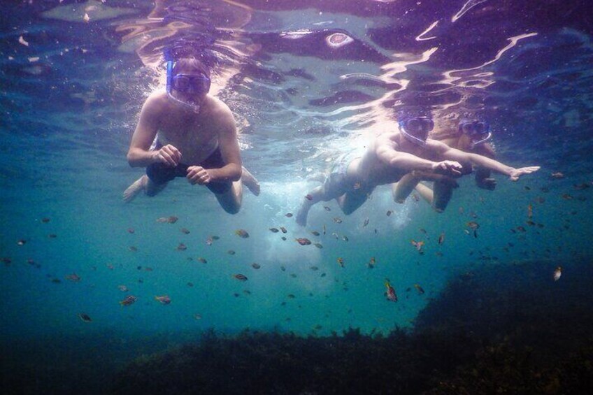 Dad and sons snorkeling
