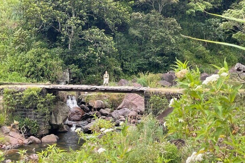 Hiking Knuckles Mountain Range from Kandy