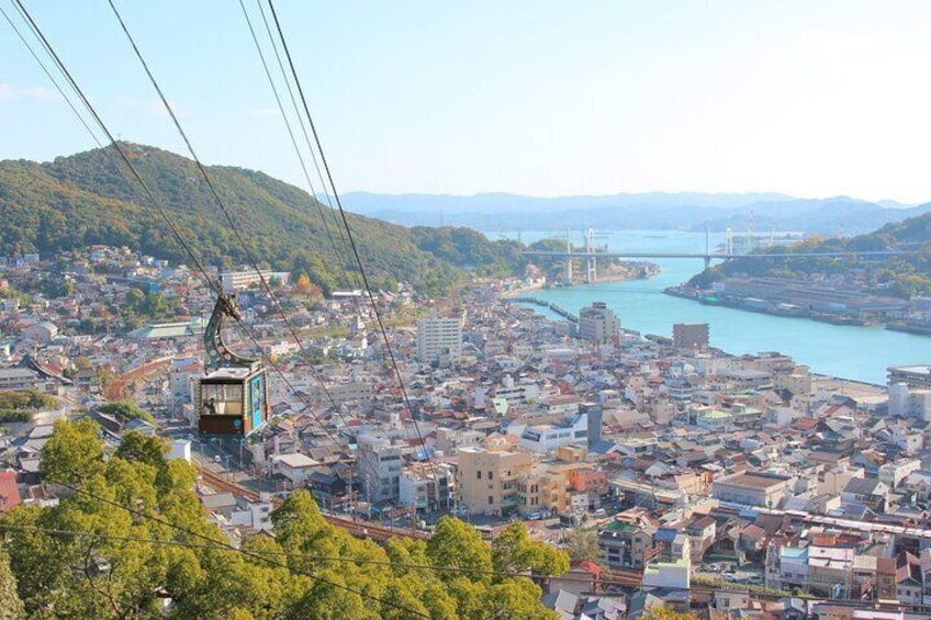 1 Day Tour Onomichi Temples Exploration and Saijo Sake Tasting