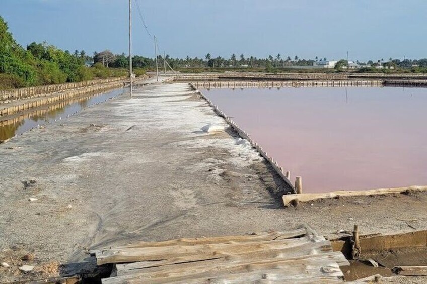 Bagamoyo is known for its traditional salt production. A visit to the salt pans allows visitors to see the processes involved and interact with local salt producers.