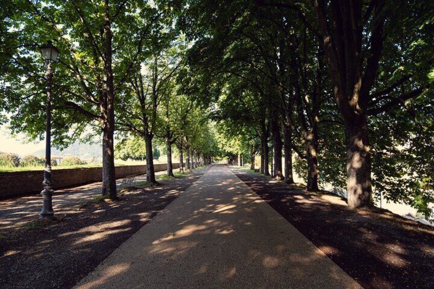 History and Sights, a Lucca Walking Tour