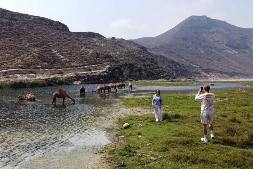 West Salalah Highlights Coastal Wonders & Scenic Views