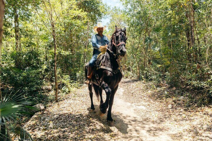 Rider Tour, Horseback Riding, ATV and Cenote