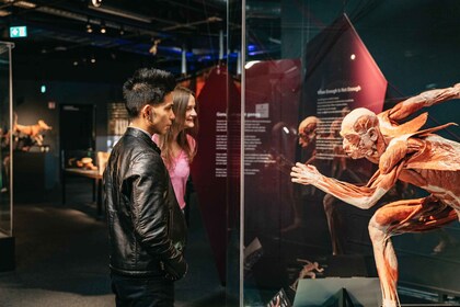 Berliini: BODY WORLDS -museon liput Berliinissä: Liput BODY WORLDS -museoon...