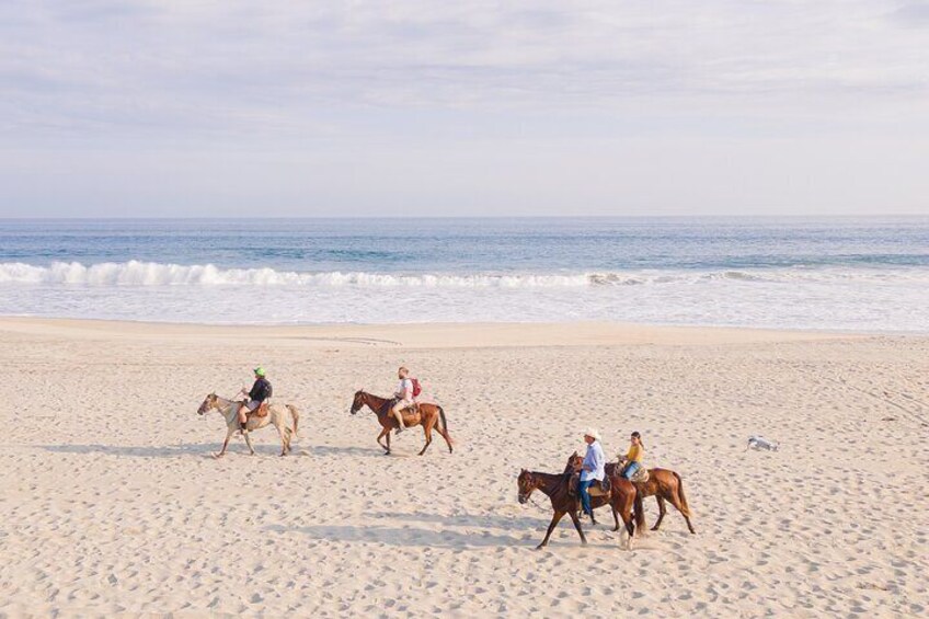 Horseback Riding Tour on the Beach in Puerto Escondido