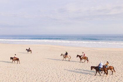 Horseback Riding Tour on the Beach in Puerto Escondido