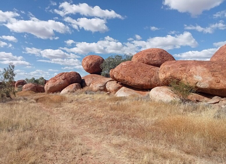 Picture 3 for Activity Alice Springs: Personalized Tour in the Northern Territory