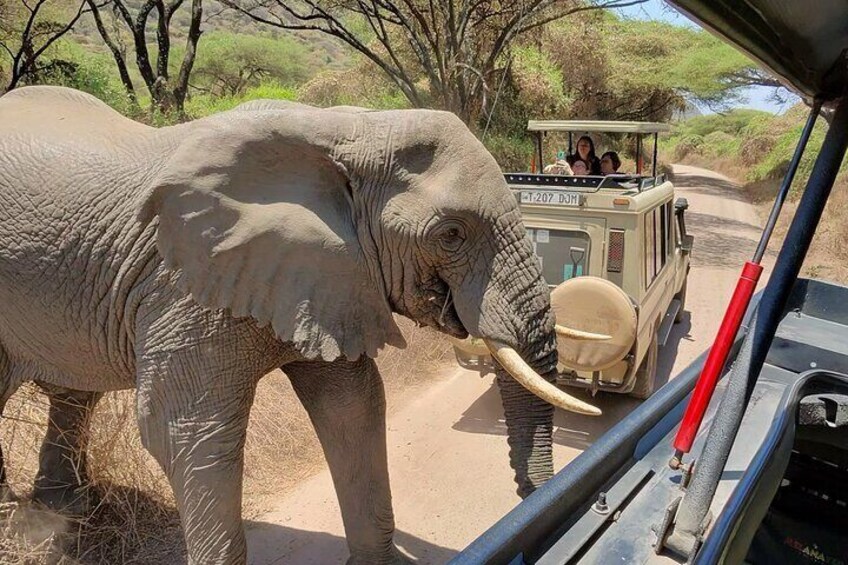 The Trifecta Lake Manyara Tarangire and Ngorongoro Crater