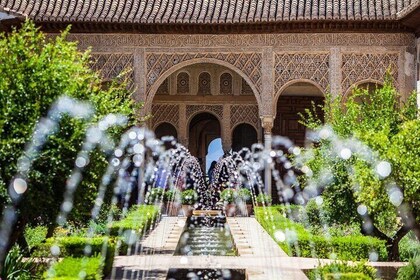 From Almeria: Alhambra and Granada Private Daytrip