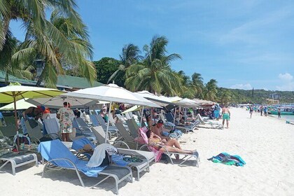 Perezoso Mono Roatán con chocolate y muestra de Ron Playa.
