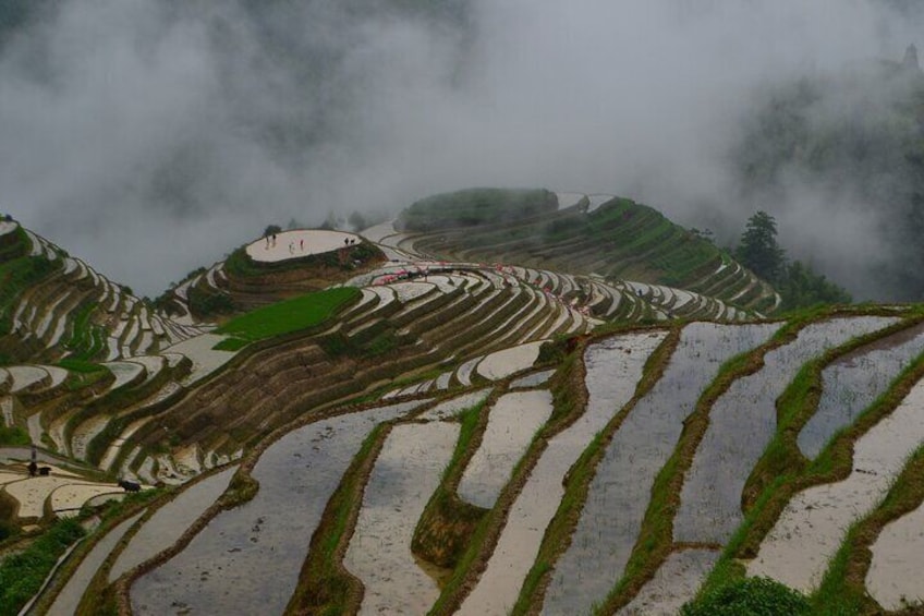 Longji Rice Terraces 