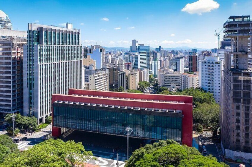 Private São Paulo Museum of Art Walking Tour