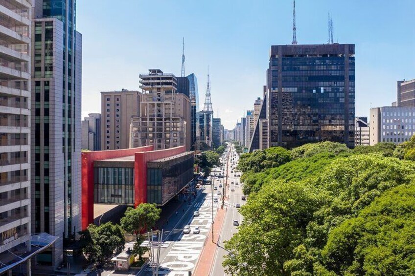Private São Paulo Museum of Art Walking Tour