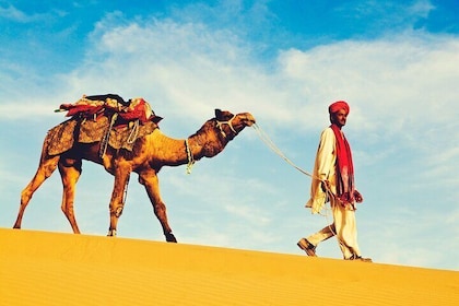 1-Night and 2-Days Thar Desert Safari Tour