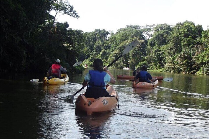 Tortuguero National Park Kayak Tour