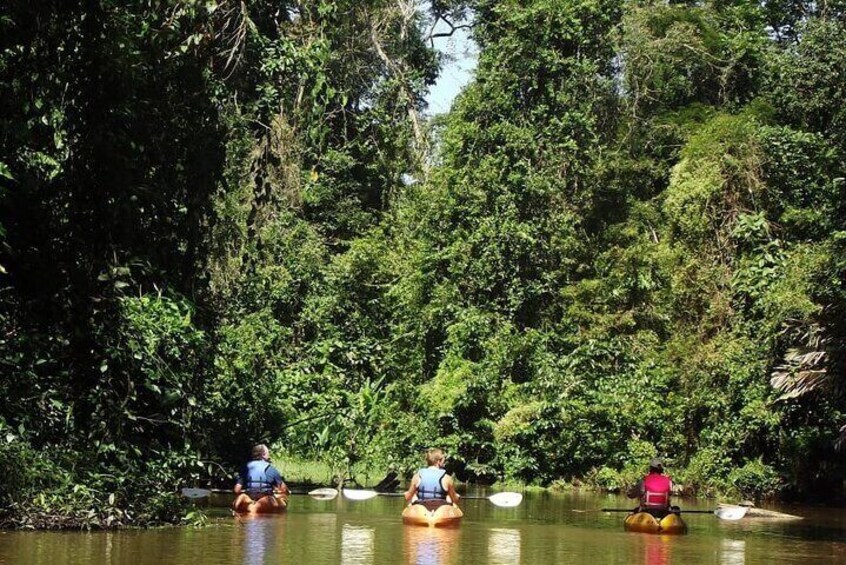 Tortuguero National Park Kayak Tour