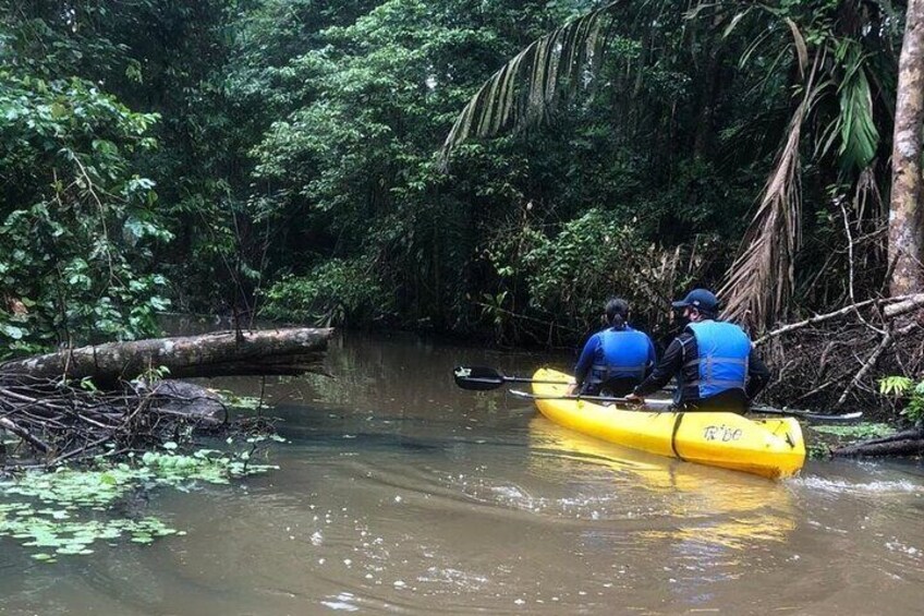 Tortuguero National Park Kayak Tour