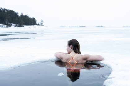 Private Sauna and Winter Swim and Finnish Gourmet Delicasies