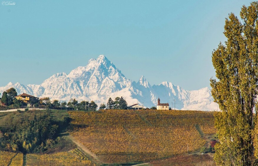 Barolo Wine and Food Tasting at Piedmont Region Winery