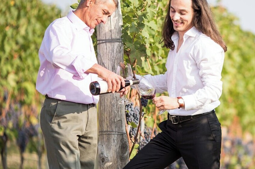 Barolo Wine and Food Tasting at Piedmont Region Winery