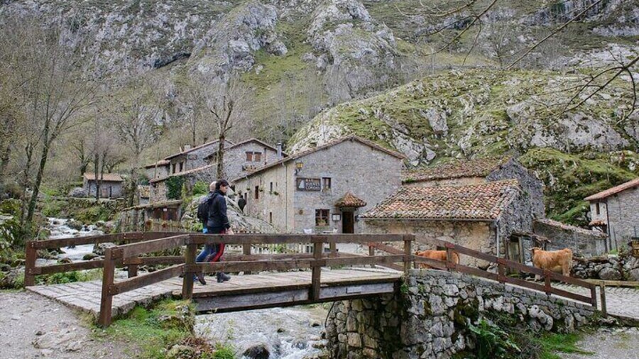 Picos de Europa: Bulnes, funicular and cheese Cabrales from Gijón