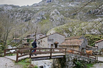 Picos de Europa: Bulnes, funicular and cheese Cabrales from Gijón