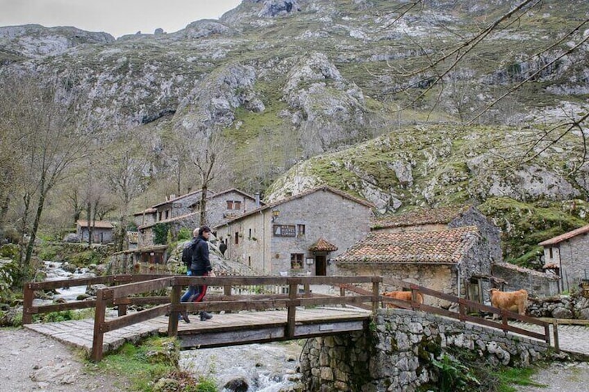 Picos de Europa: Bulnes, funicular and cheese Cabrales from Gijón
