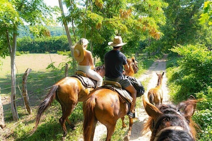 Horseback Riding Tour to the Hot Springs in Puerto Escondido