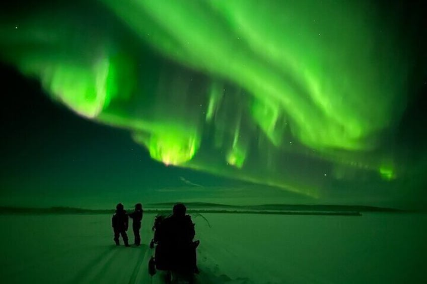 Guided Northern Light snowmobile tour in Kiruna