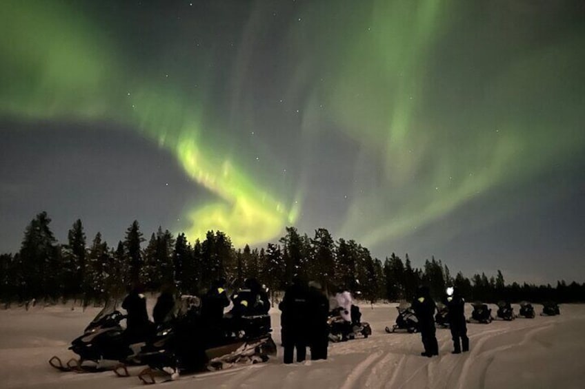 Guided Northern Light snowmobile tour in Kiruna