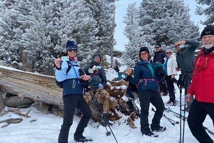 Self Guided Snowshoe Experience at Lake Tahoe