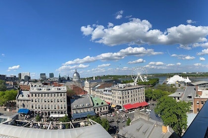 Montreal: 3-Hour Private Car Tour with Expert Guide & Free Pickup