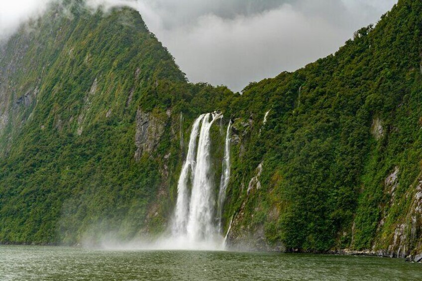 Milford Day Tour Guided Tour Te Anau to Milford Sound