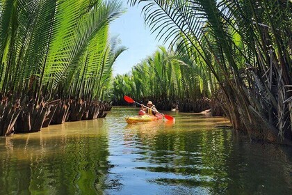 Ciudad Vieja a Manglar Forest