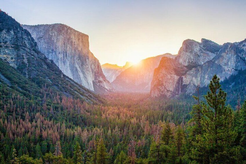 Enchanting Yosemite National Park Tour from San Francisco