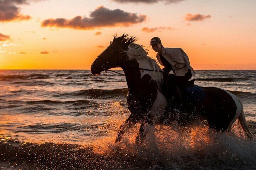 Sunset Waterfront Horseback Riding Tour