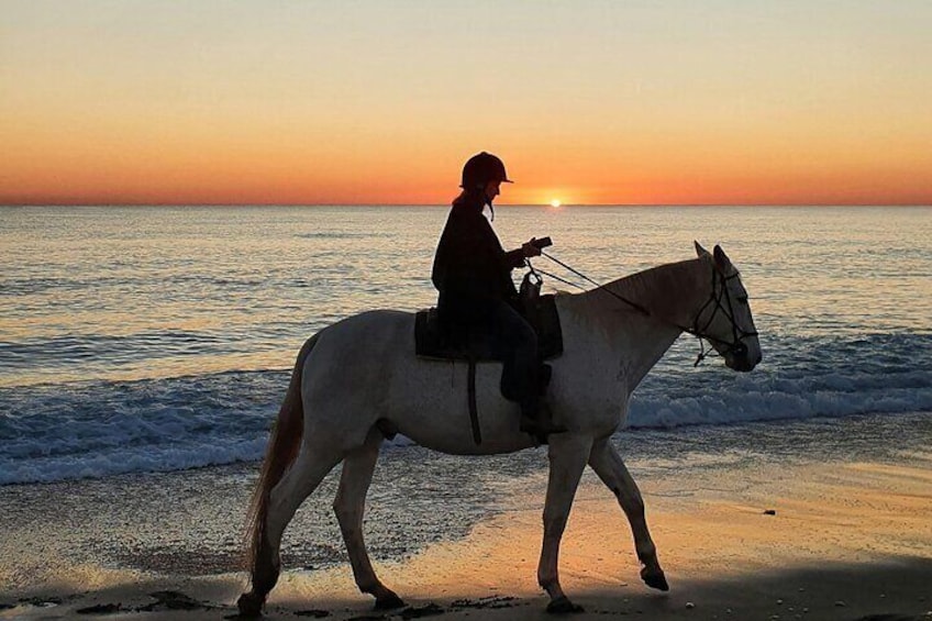 Sunset Waterfront Horseback Riding Tour