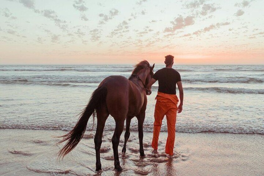 Sunset Waterfront Horseback Riding Tour