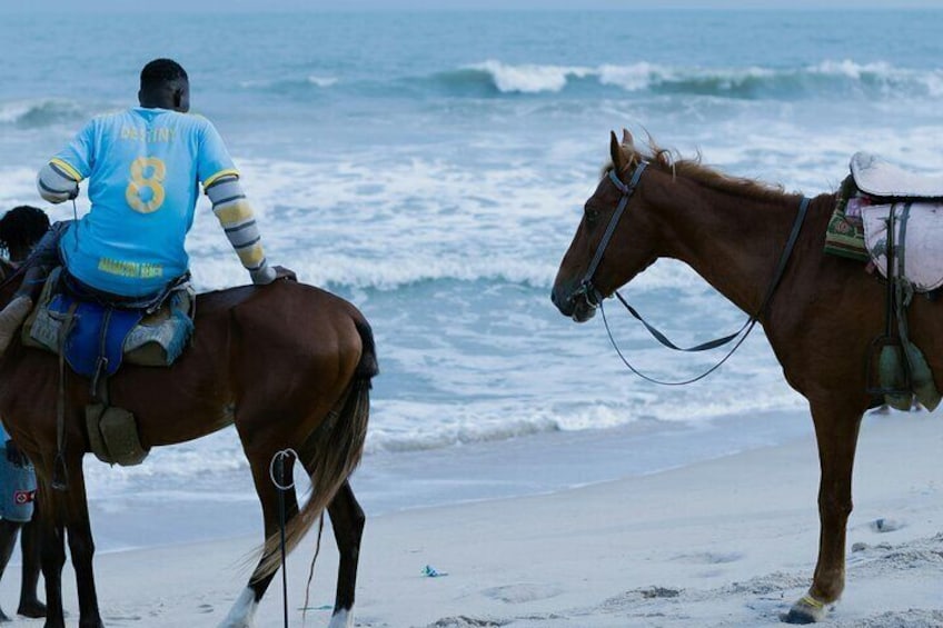 Sunset Waterfront Horseback Riding Tour