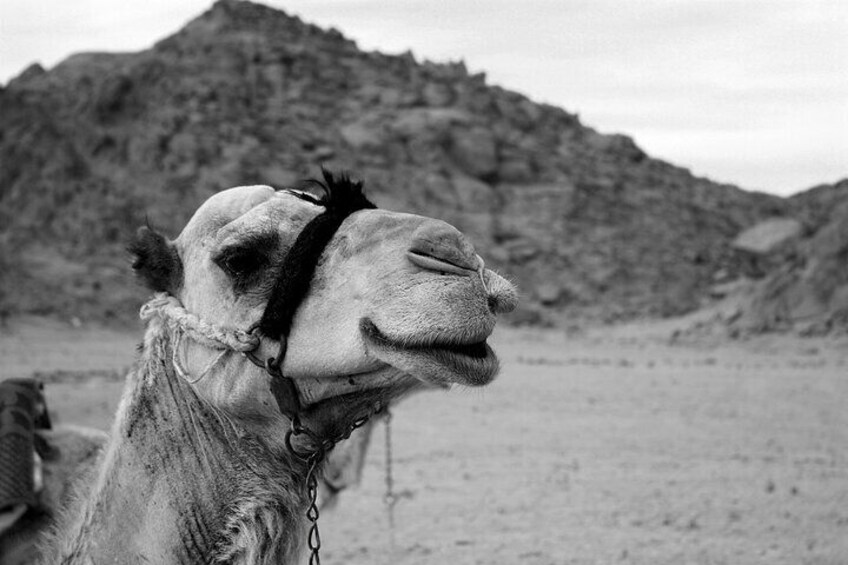 Dahab Safari from Sharm El-Sheikh: Canyon Salama and Blue Hole