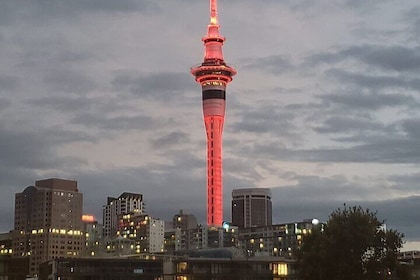 Auckland City Halfday Tour