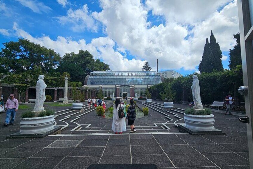 Auckland City Halfday Tour 